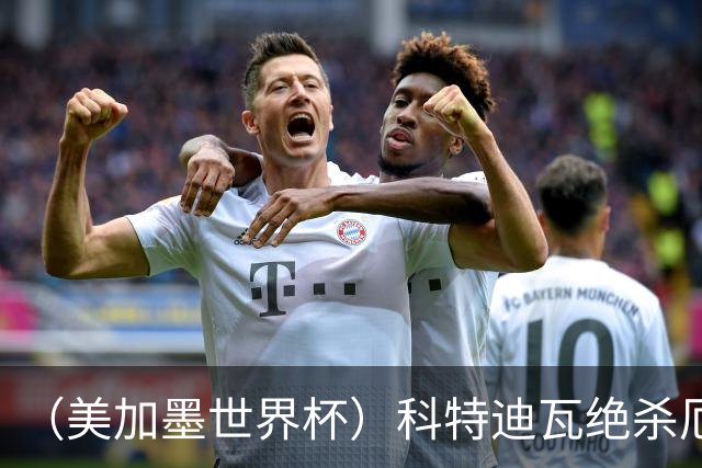 （美加墨世界杯）科特迪瓦绝杀厄瓜多尔 瑞典5:1大胜突尼斯