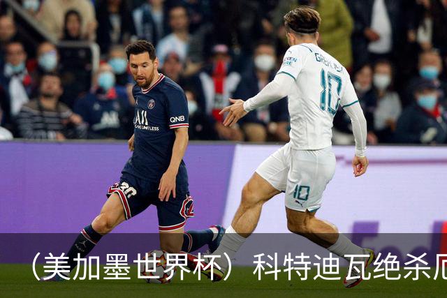 （美加墨世界杯）科特迪瓦绝杀厄瓜多尔 瑞典5:1大胜突尼斯